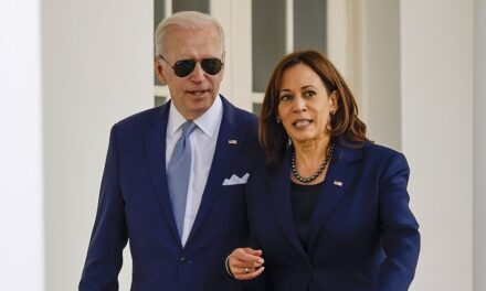 Key Insights from 2024 Campaign Literature: From Obama’s Maneuvering to Biden’s Perceived Lethargy