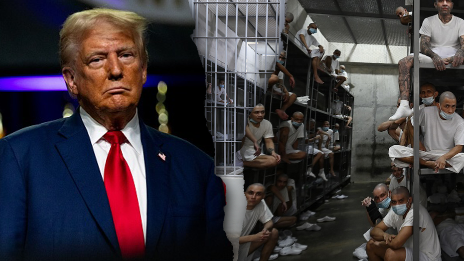 Democrats’ Planned Visit to MS-13 Gang Member’s Deportation Sparks Outrage