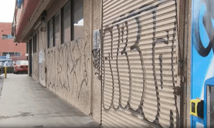 Chaotic Wild Party in Los Angeles Results in Vandalism, Fire Breathing, and Injured Officers