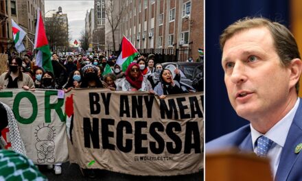 Concerns Rise as Democratic Representative Warns Against Martyrdom of Antisemitic Protesters Amidst Trump’s Deportation Policies