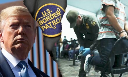Veteran Chief Claims Trump’s Border Strategy Empowers Patrol Agents to Effectively Fulfill Their Duties
