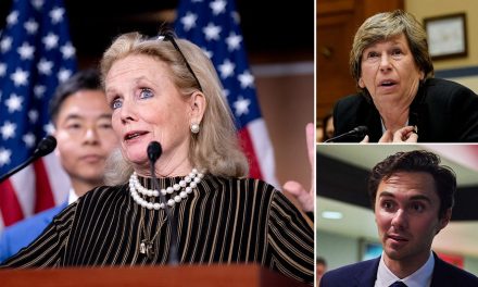 Democrats Express Concerns Over Internal Conflicts and Unity Issues Amid Growing Discontent with the DNC