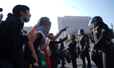 Media Claims of Peaceful Protests Amid Significant Unrest Against ICE