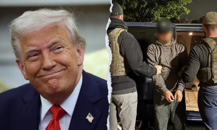 Former Democratic Advisor Urges Party to Develop a Broader Message Beyond Criticism of Trump and ICE