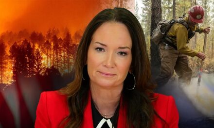 Trump’s Former Agriculture Secretary Discusses Forest Service Changes as US Prepares for Major Wildfires
